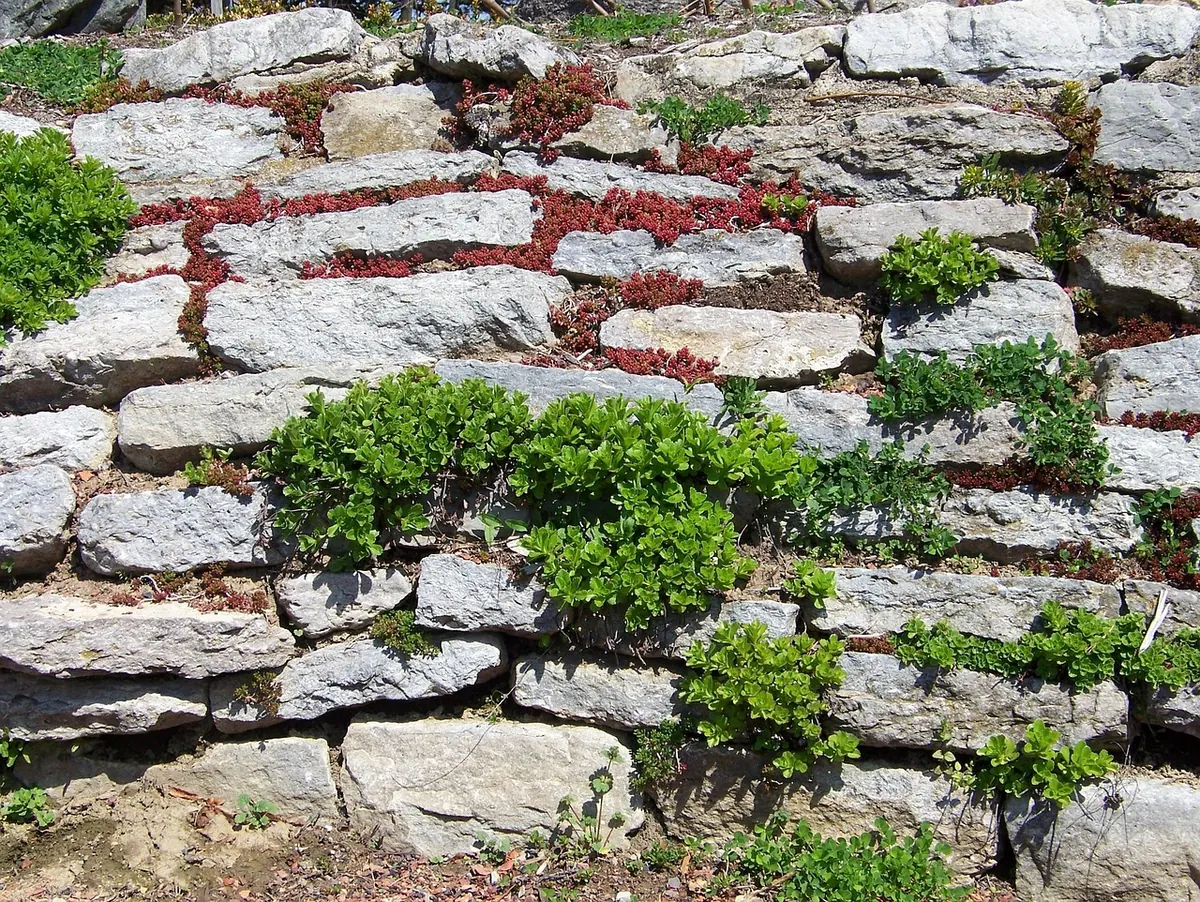 How to Build a Stone Retaining Wall in a Sloped UK Garden